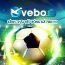 Vebo TV Trực Tiếp Bóng Đá