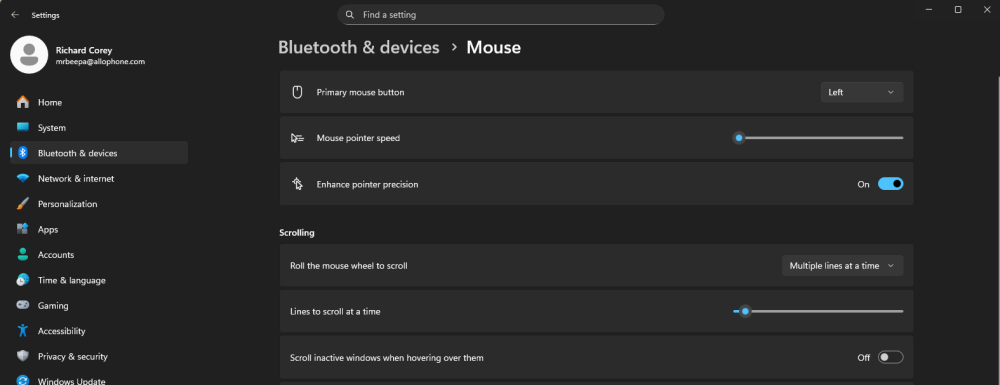 My mouse settings.png